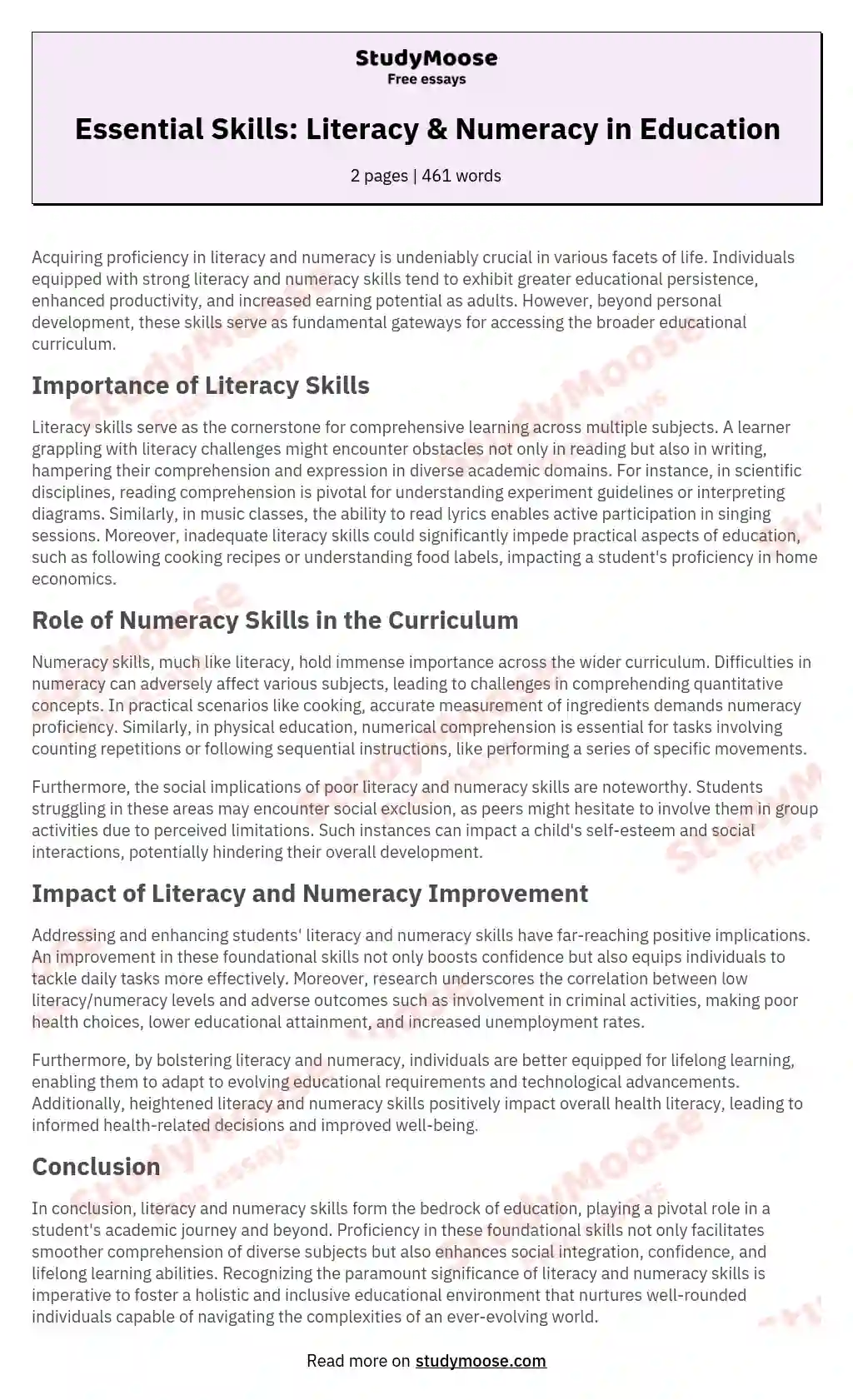 essential-skills-literacy-numeracy-in-education-free-essay-example