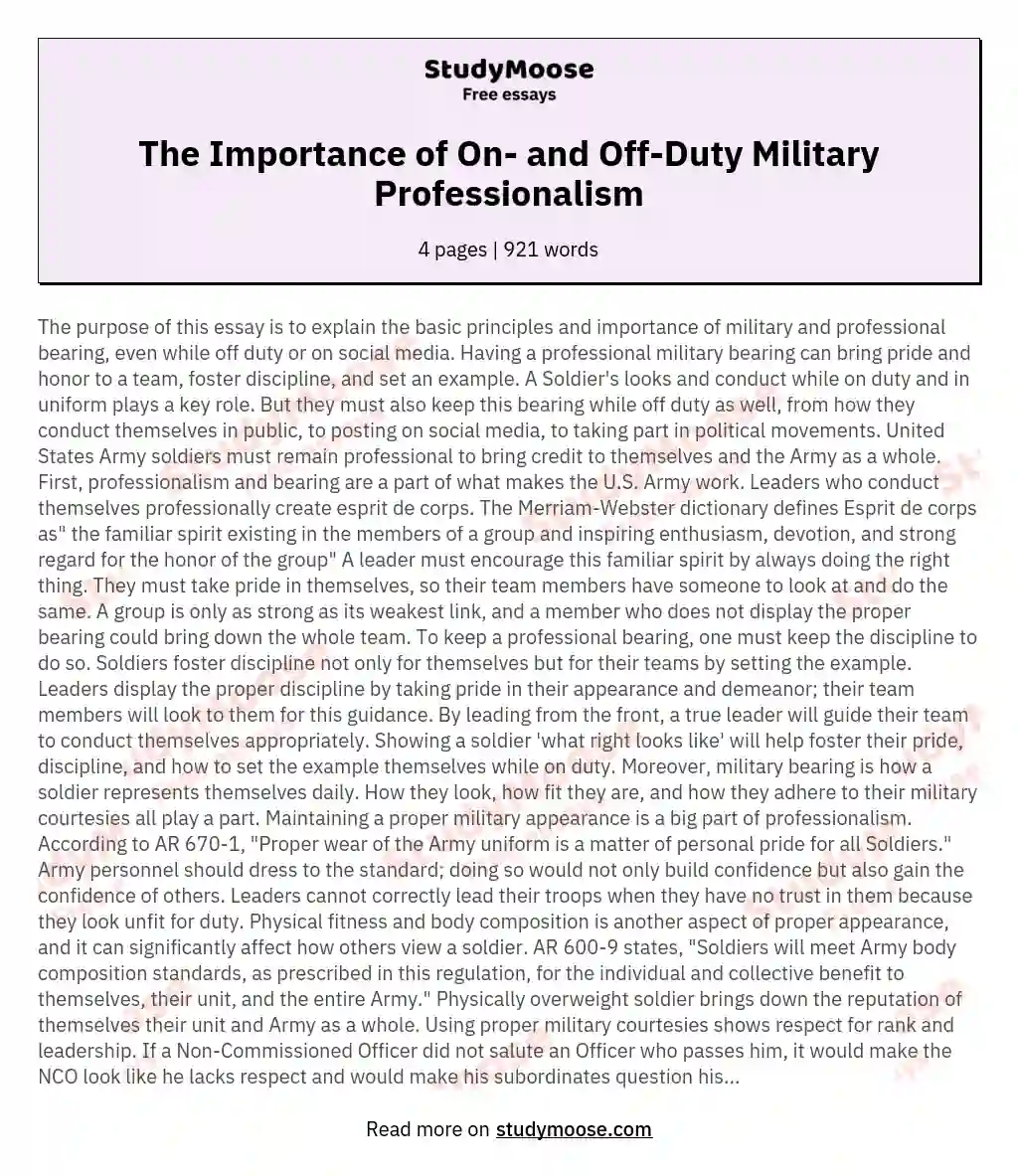 The Importance of On- and Off-Duty Military Professionalism essay