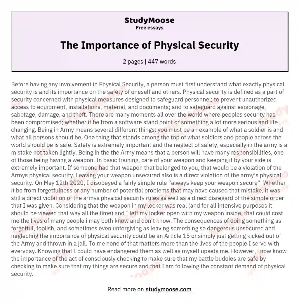 The Importance of Physical Security essay