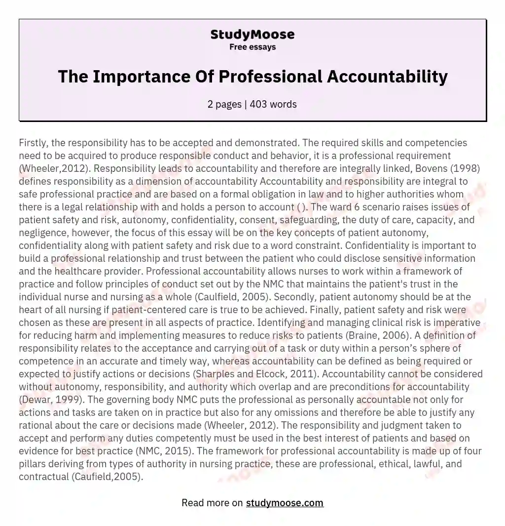 The Importance Of Professional Accountability