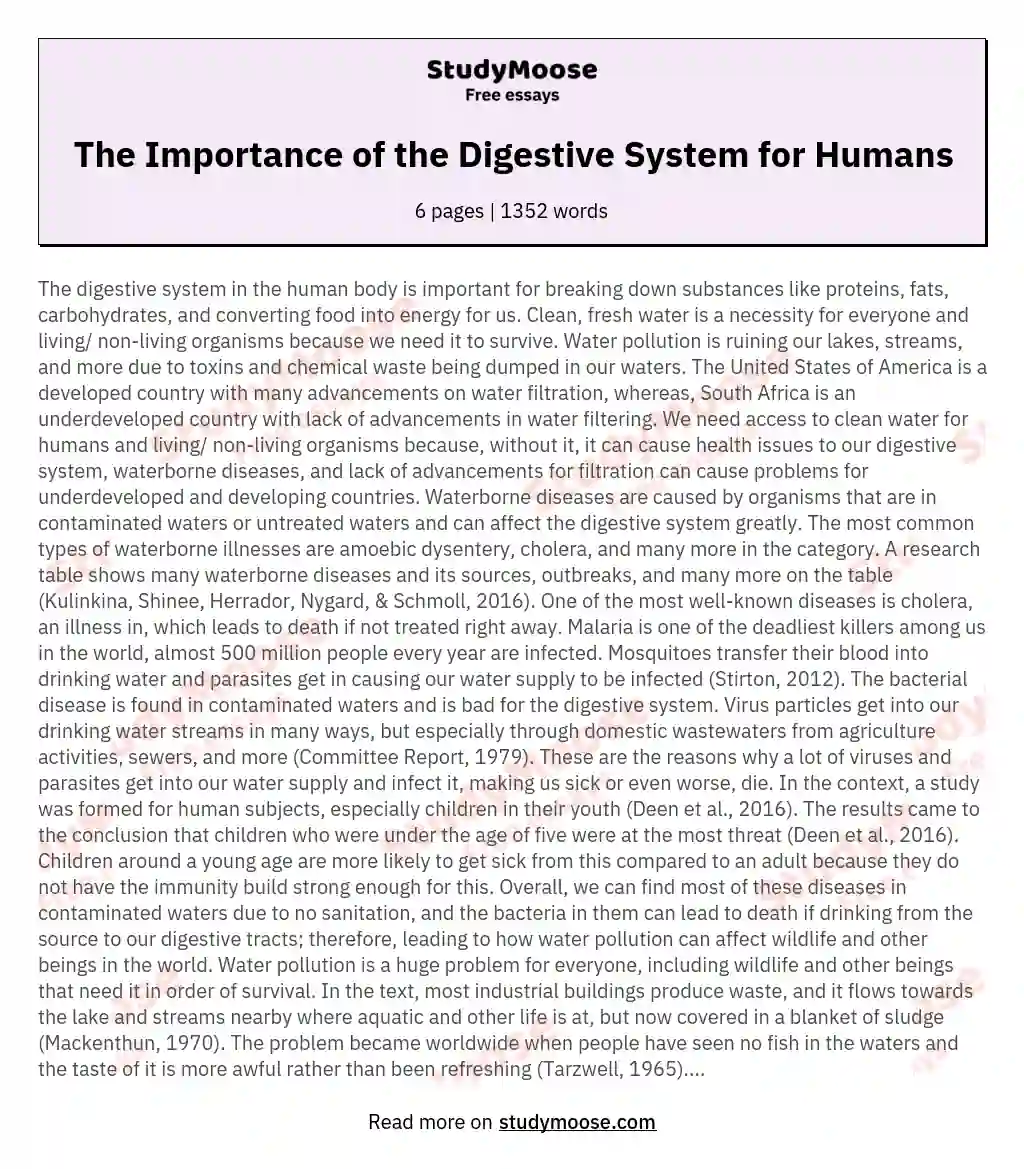 The Importance of the Digestive System for Humans essay