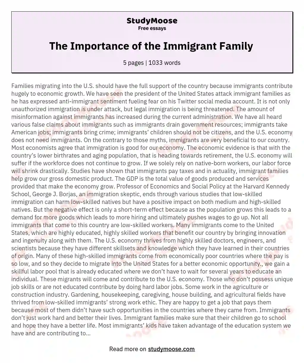 The Importance of the Immigrant Family  essay