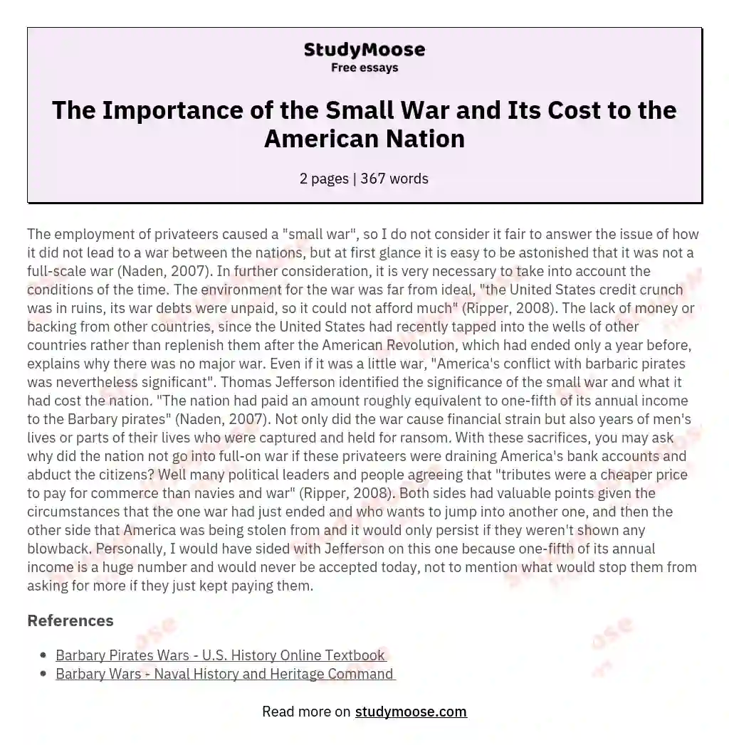 The Importance of the Small War and Its Cost to the American Nation essay
