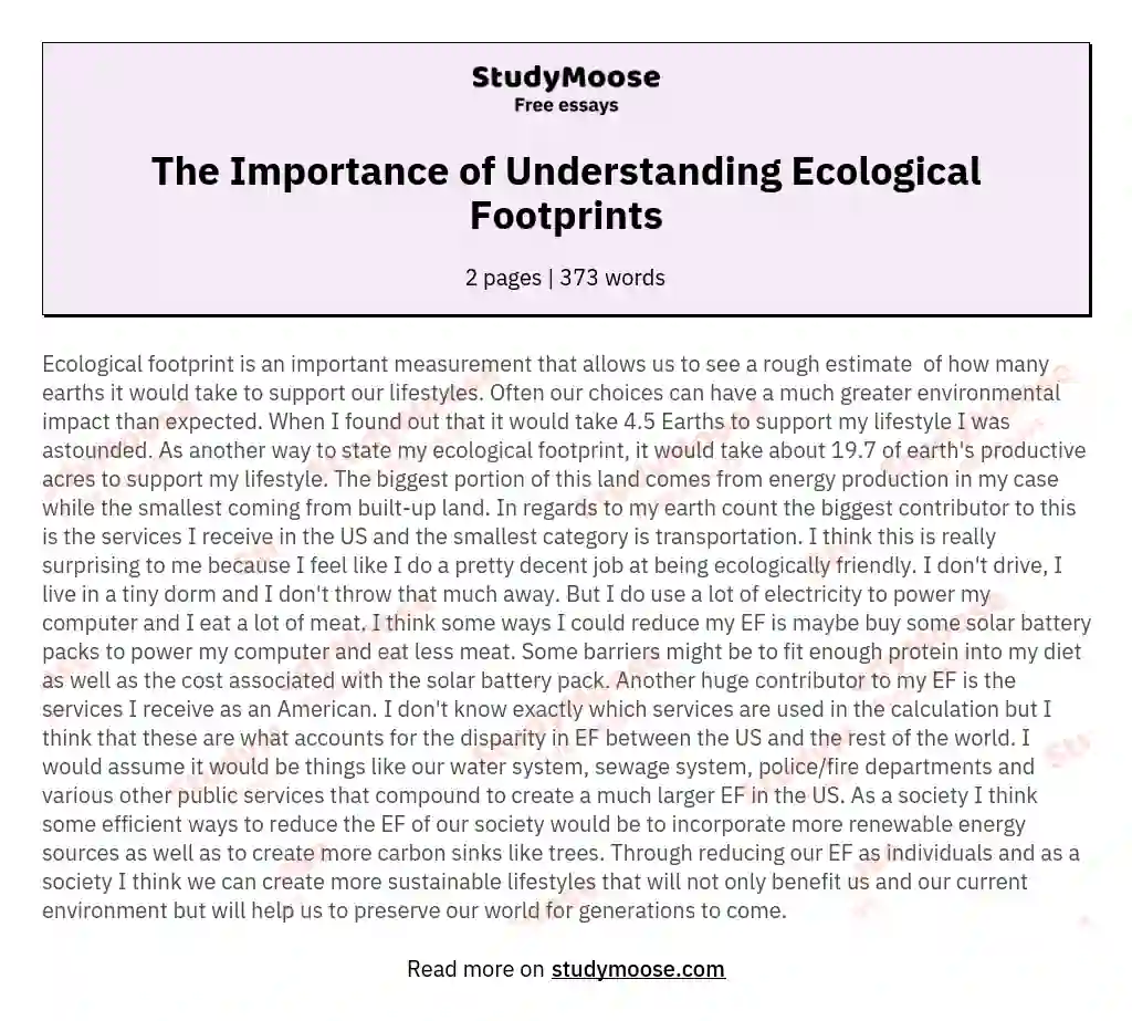 The Importance of Understanding Ecological Footprints essay
