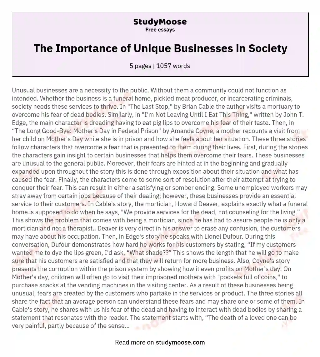 The Importance of Unique Businesses in Society essay