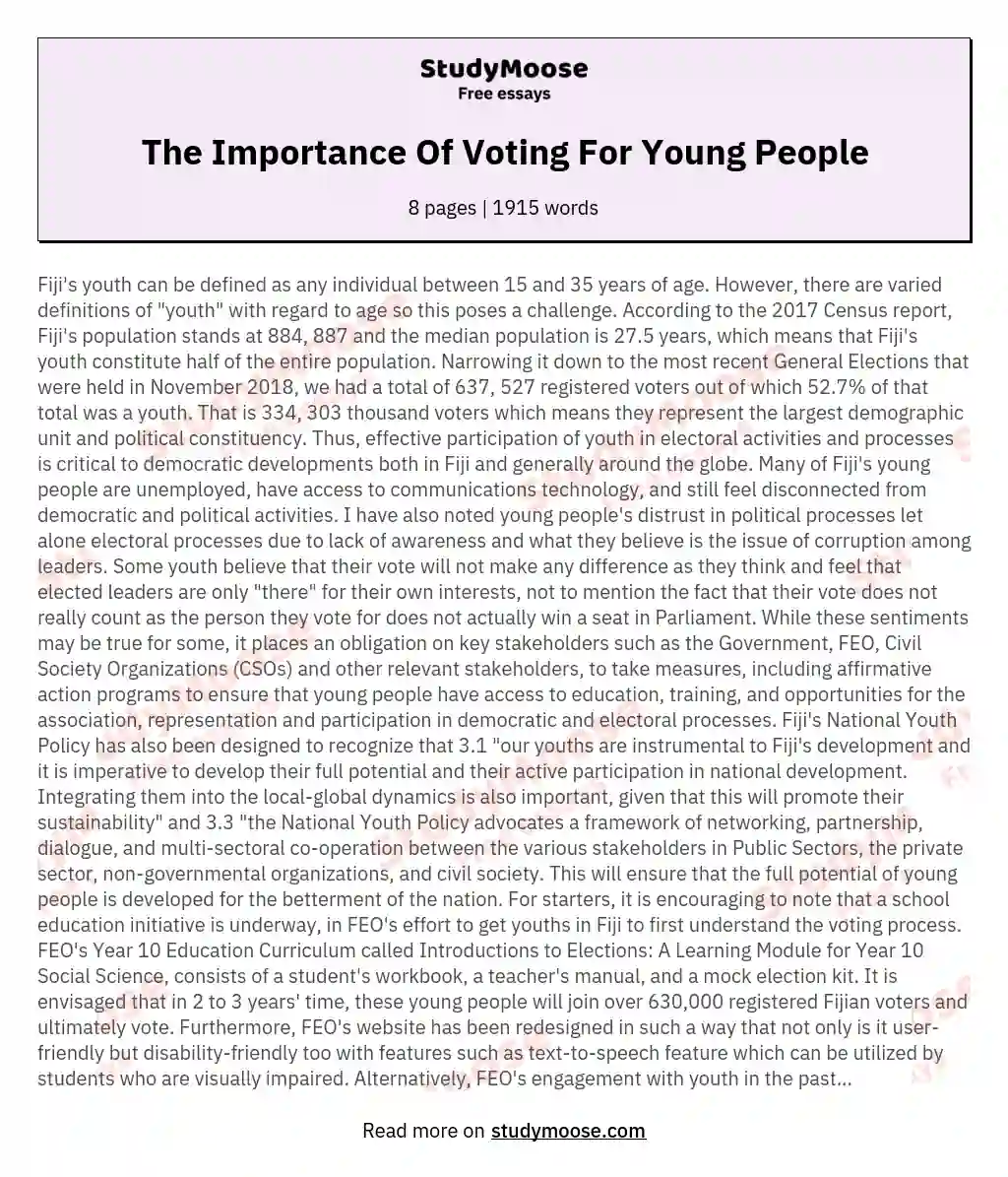 youth participation in politics essay