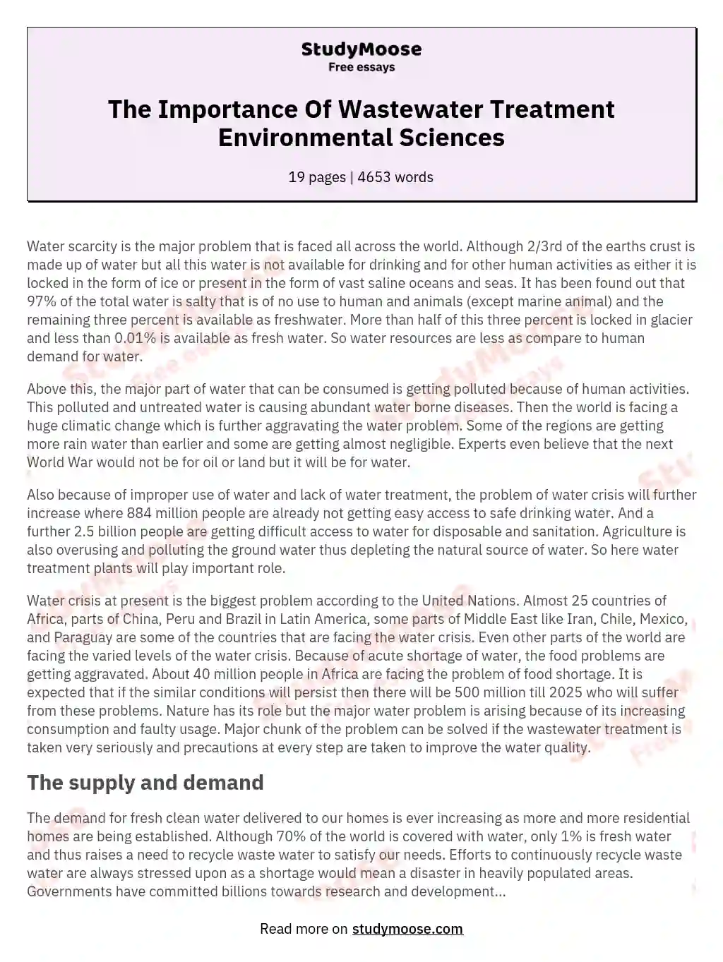 wasting water essay