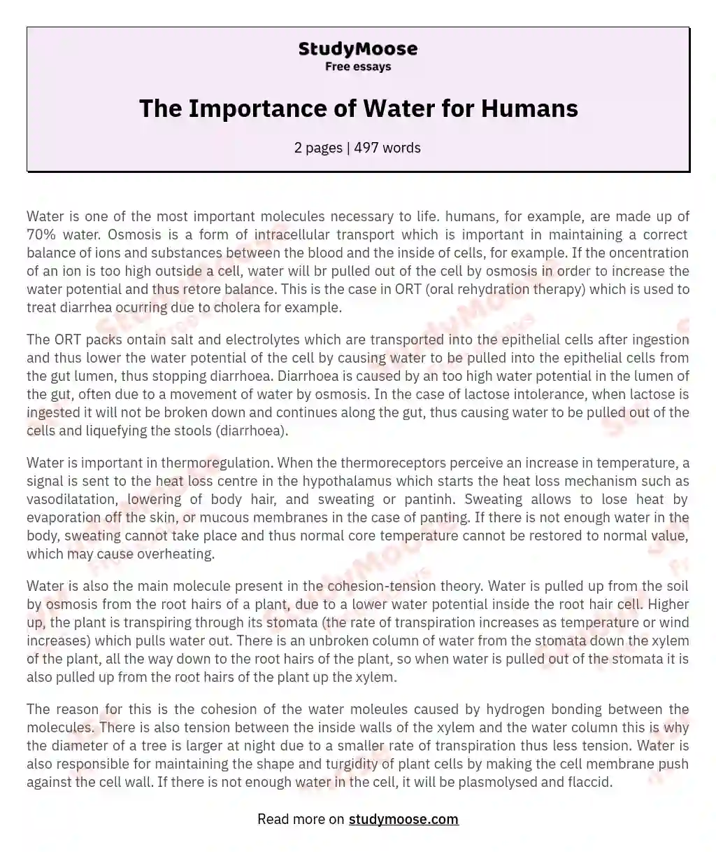 The Importance of Water for Humans essay