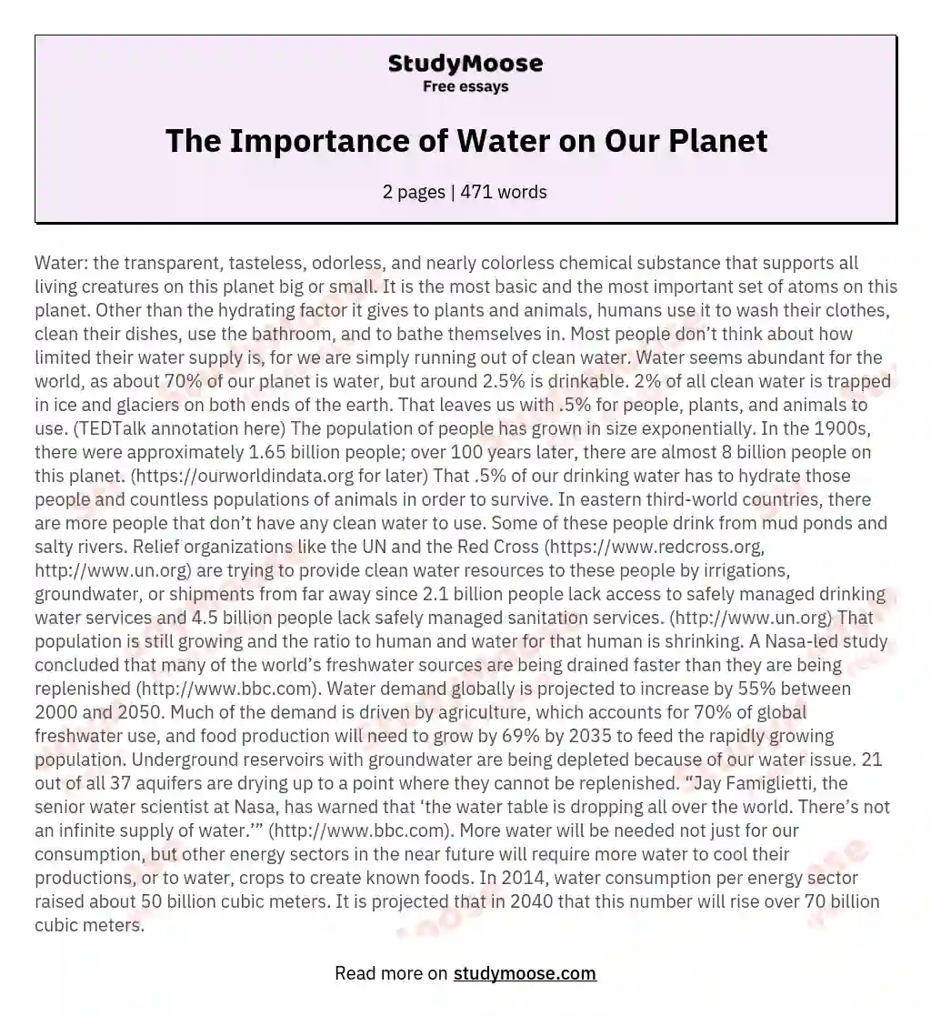 The Importance of Water on Our Planet essay