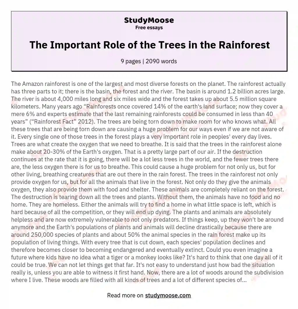 The Important Role of the Trees in the Rainforest essay