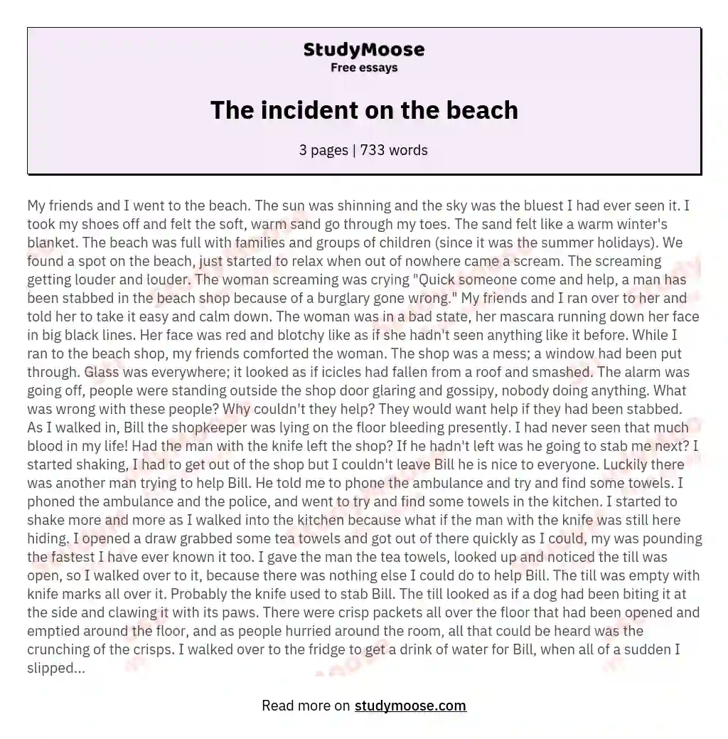 The incident on the beach essay