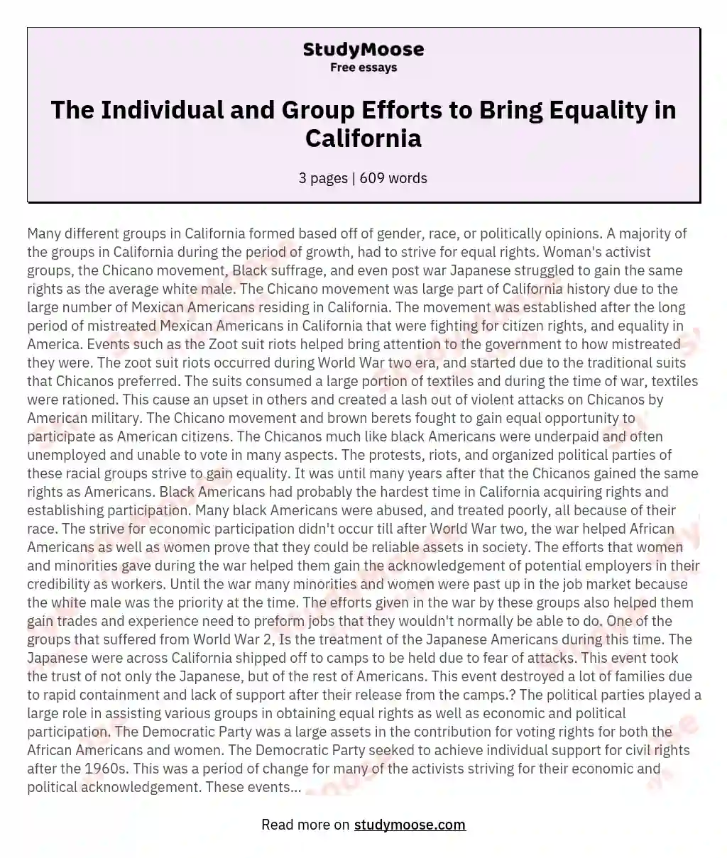 The Individual and Group Efforts to Bring Equality in California essay