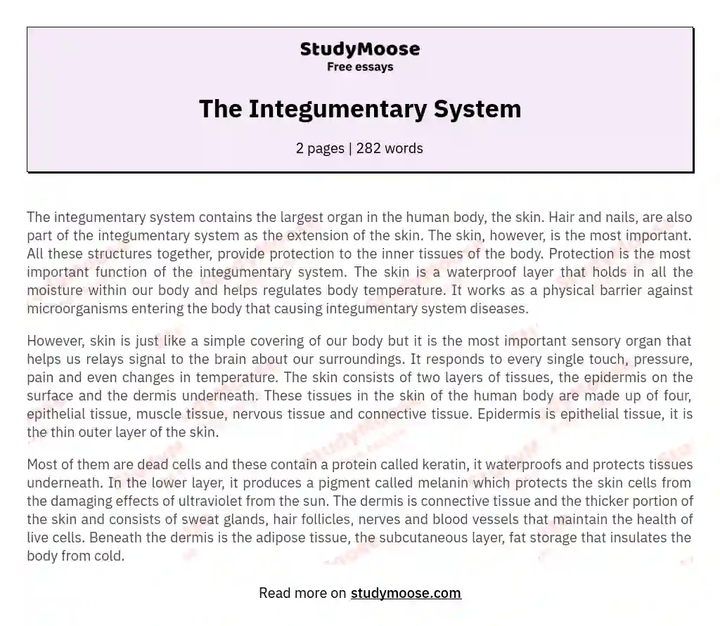 The Integumentary System essay