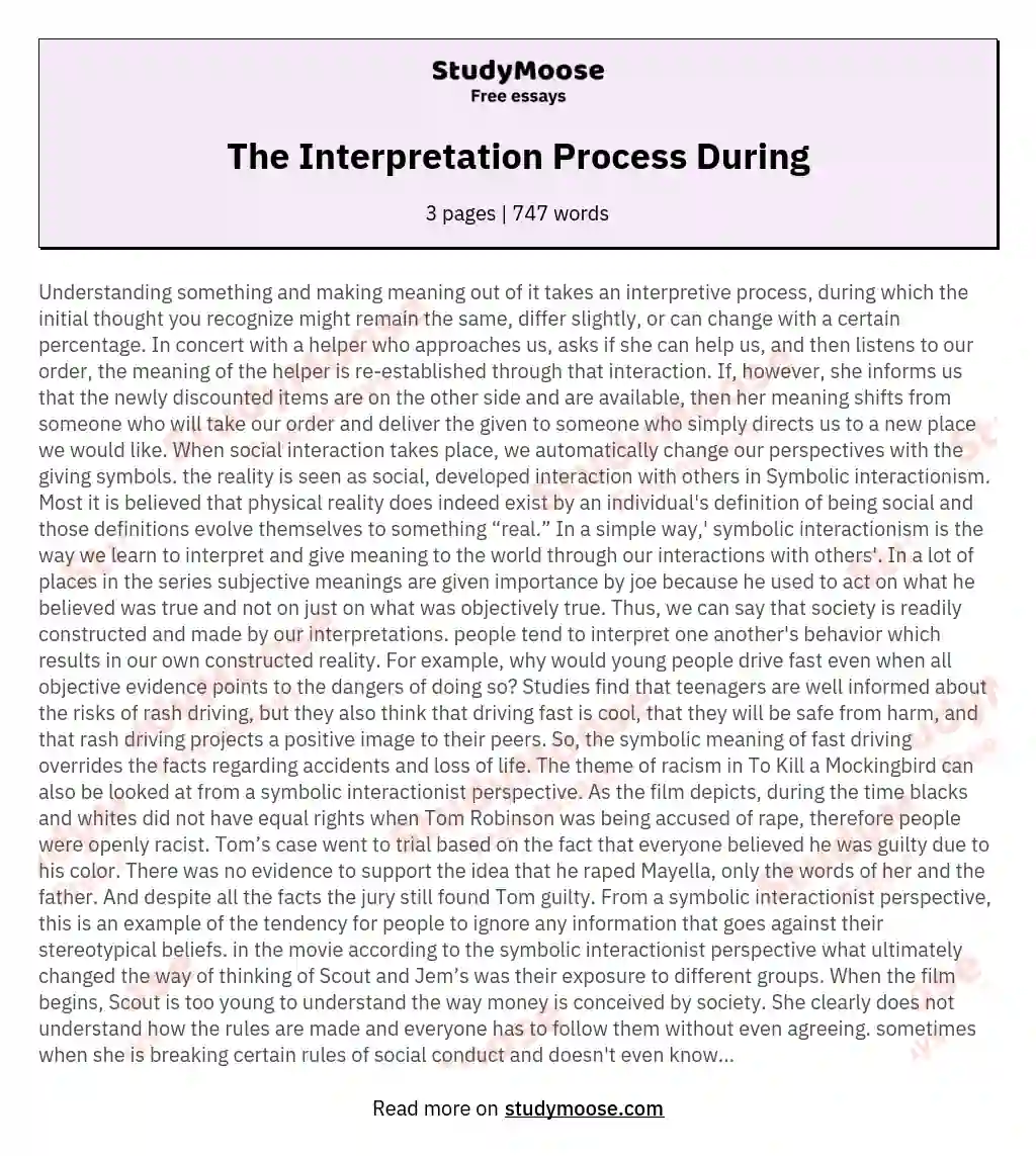 The Interpretation Process During essay