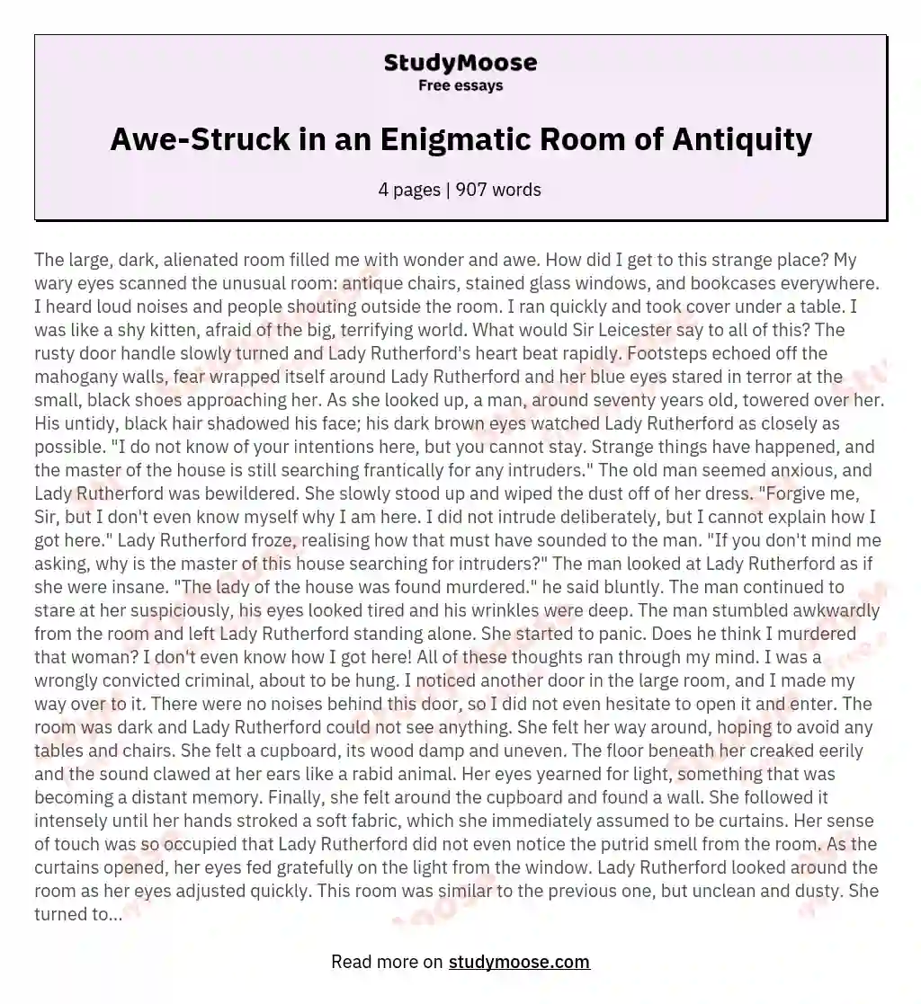 Awe-Struck in an Enigmatic Room of Antiquity essay