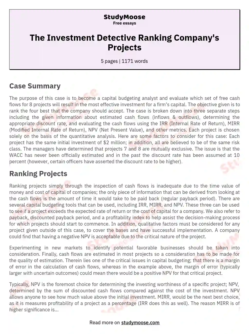 The Investment Detective Ranking Company's Projects essay
