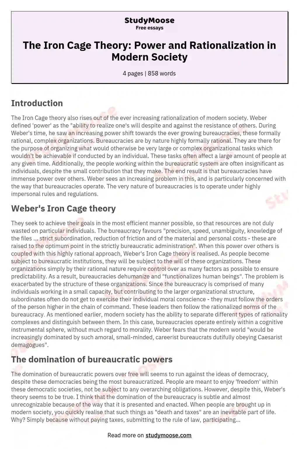 The Iron Cage Theory: Power and Rationalization in Modern Society essay