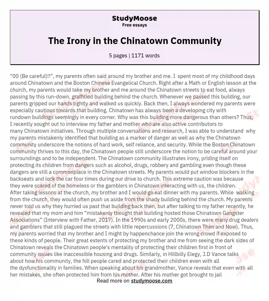The Irony in the Chinatown Community essay