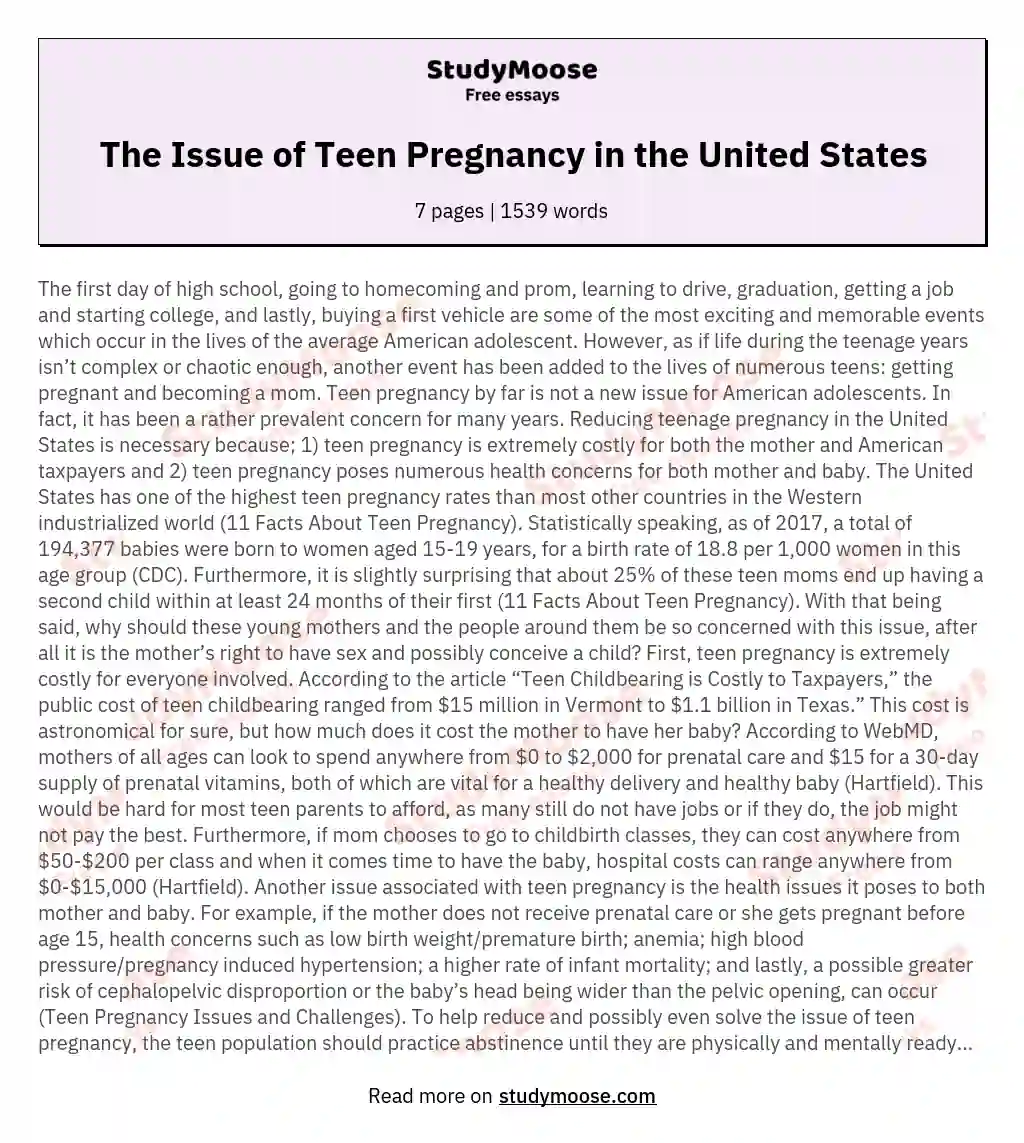 The Issue of Teen Pregnancy in the United States essay