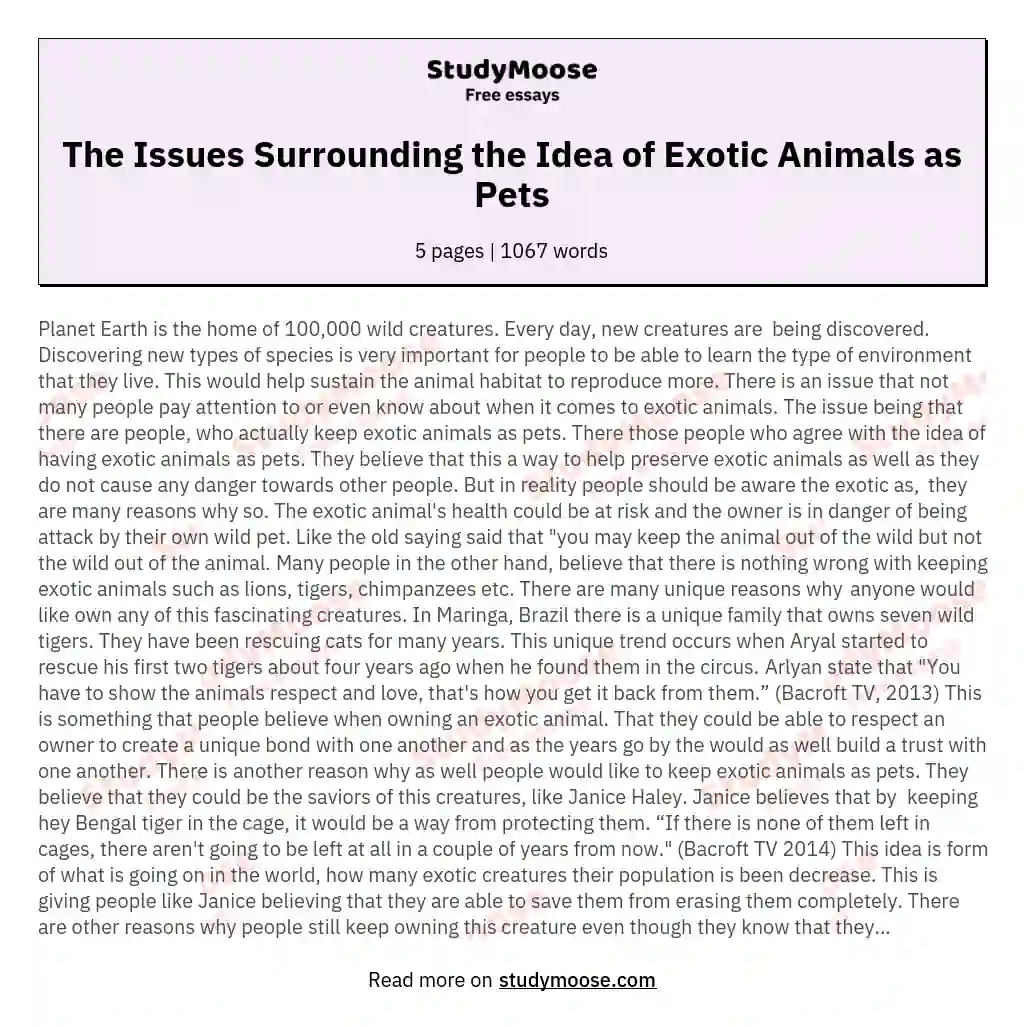 The Issues Surrounding the Idea of Exotic Animals as Pets essay