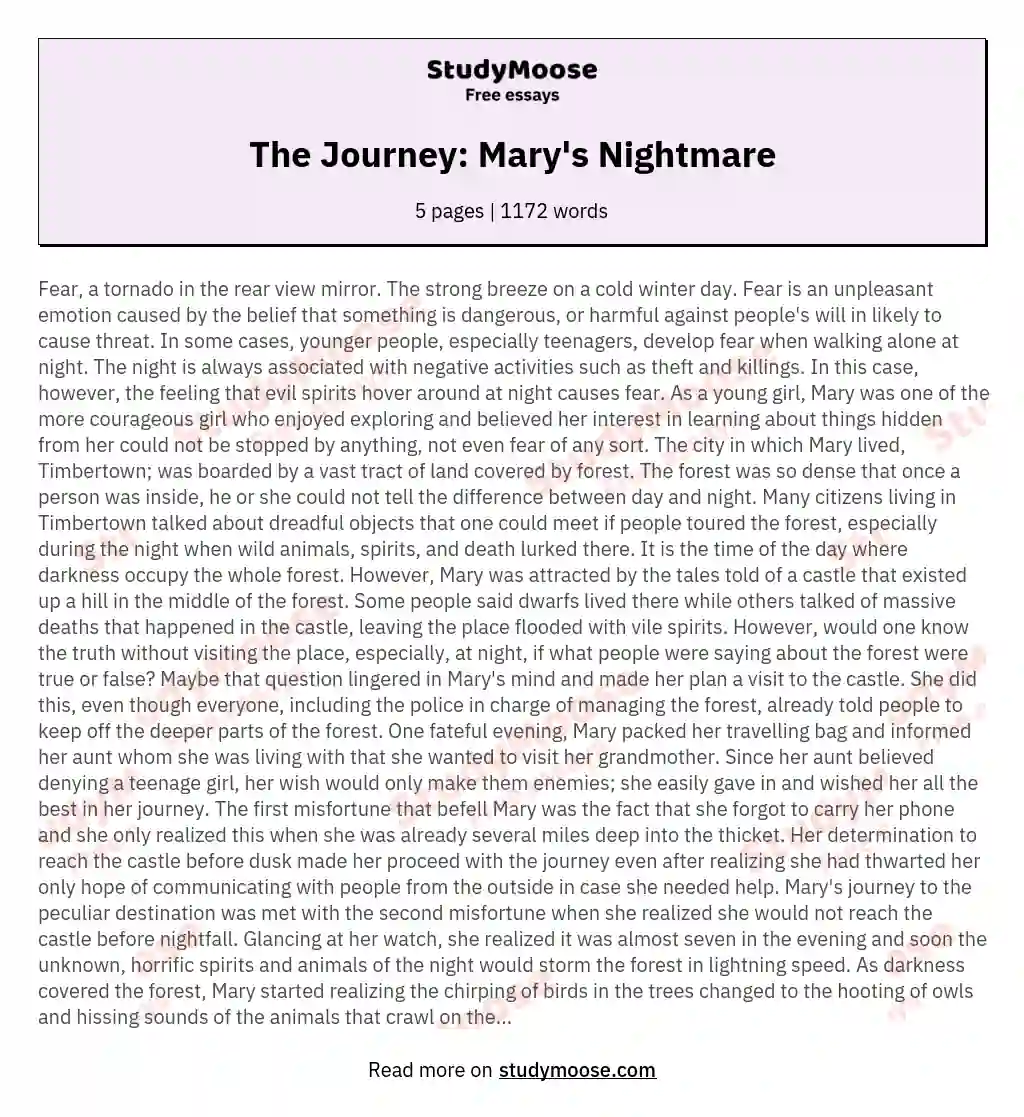 The Journey: Mary's Nightmare essay