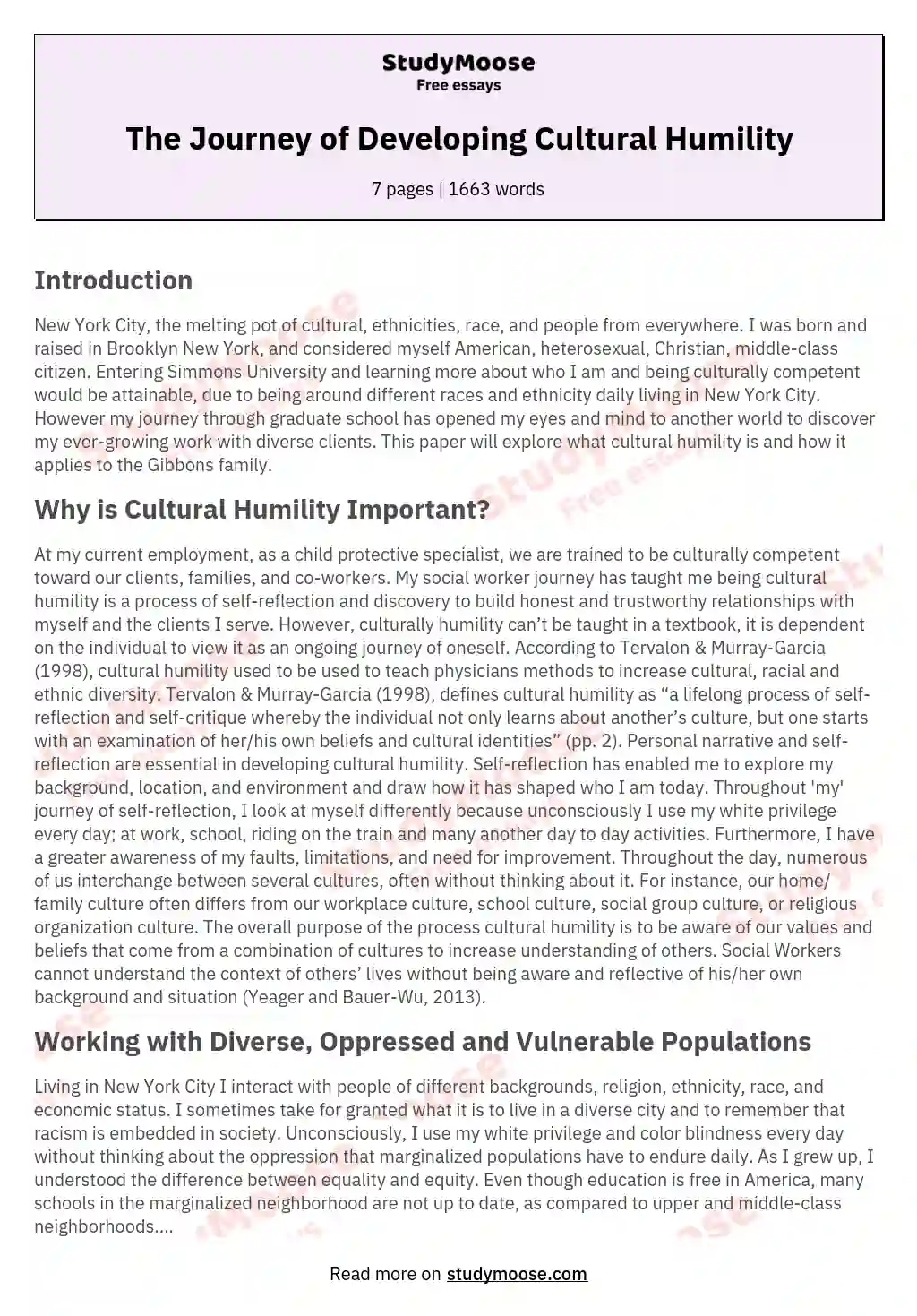 The Journey of Developing Cultural Humility essay