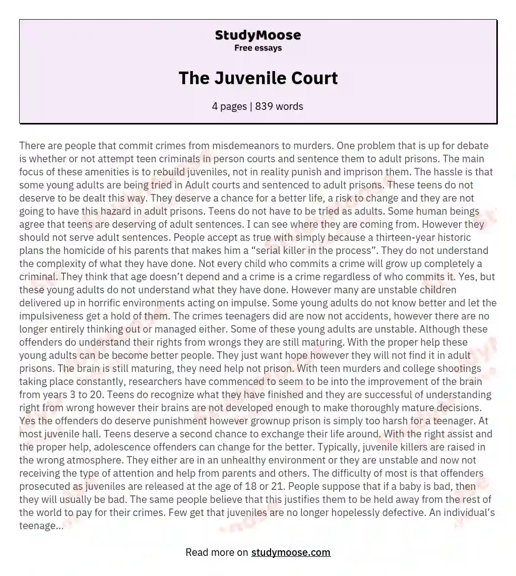 The Juvenile Court essay