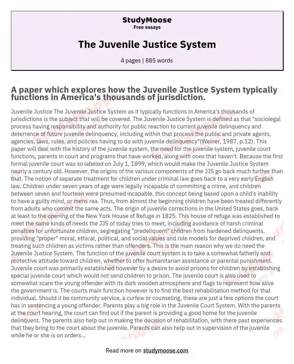 juvenile justice system problems essay
