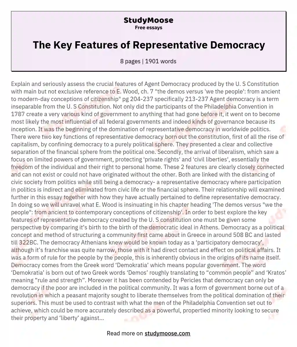 The Key Features of Representative Democracy essay