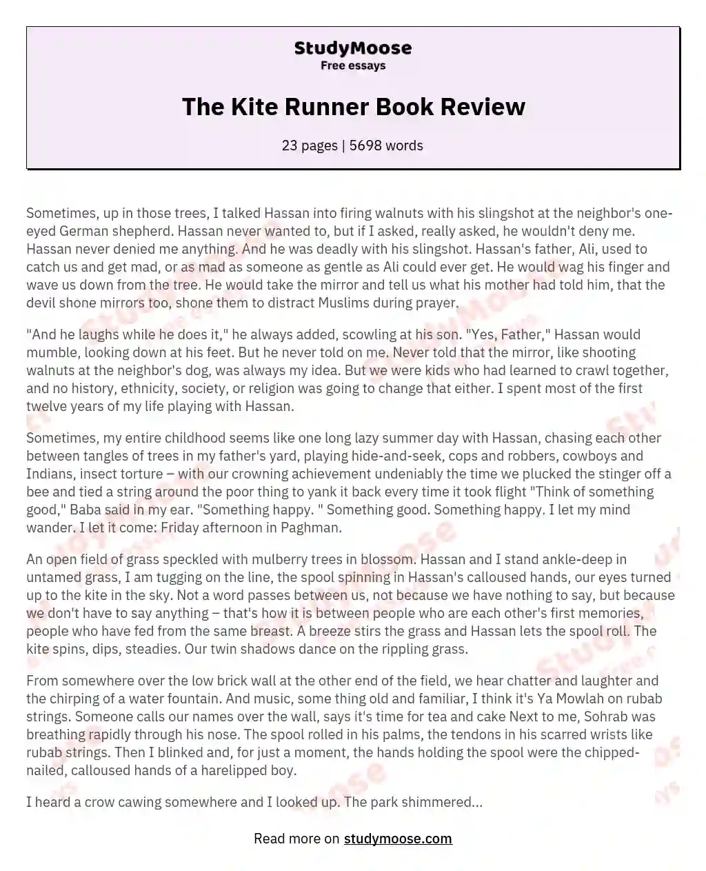 The Kite Runner Book Review essay