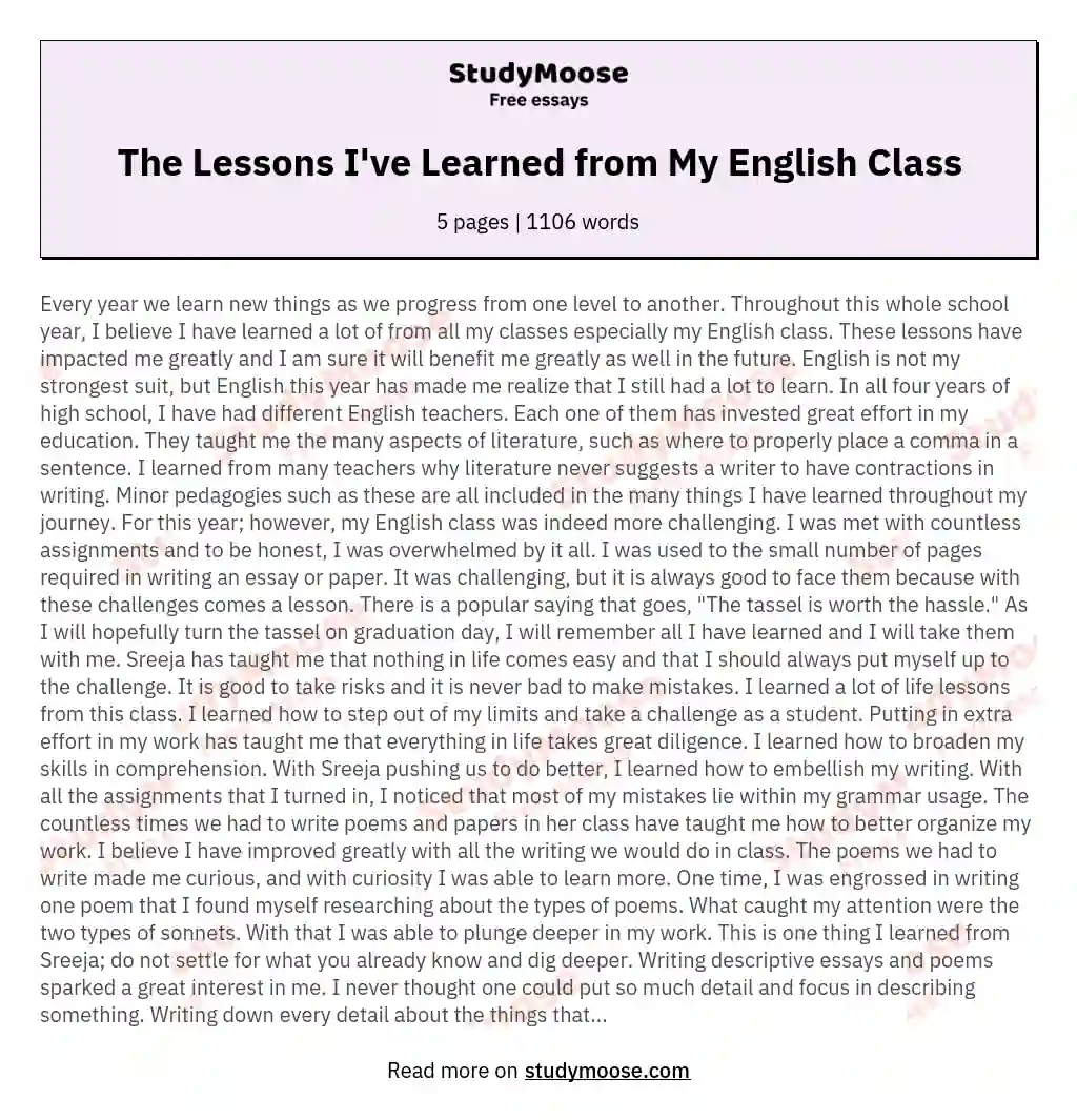 The Lessons I've Learned from My English Class essay