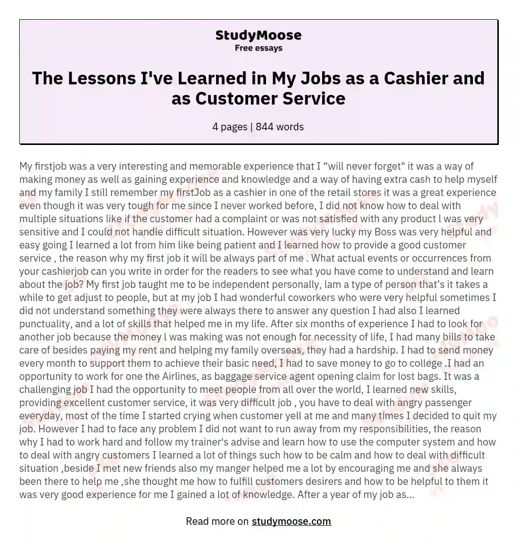The Lessons I've Learned in My Jobs as a Cashier and as Customer Service essay
