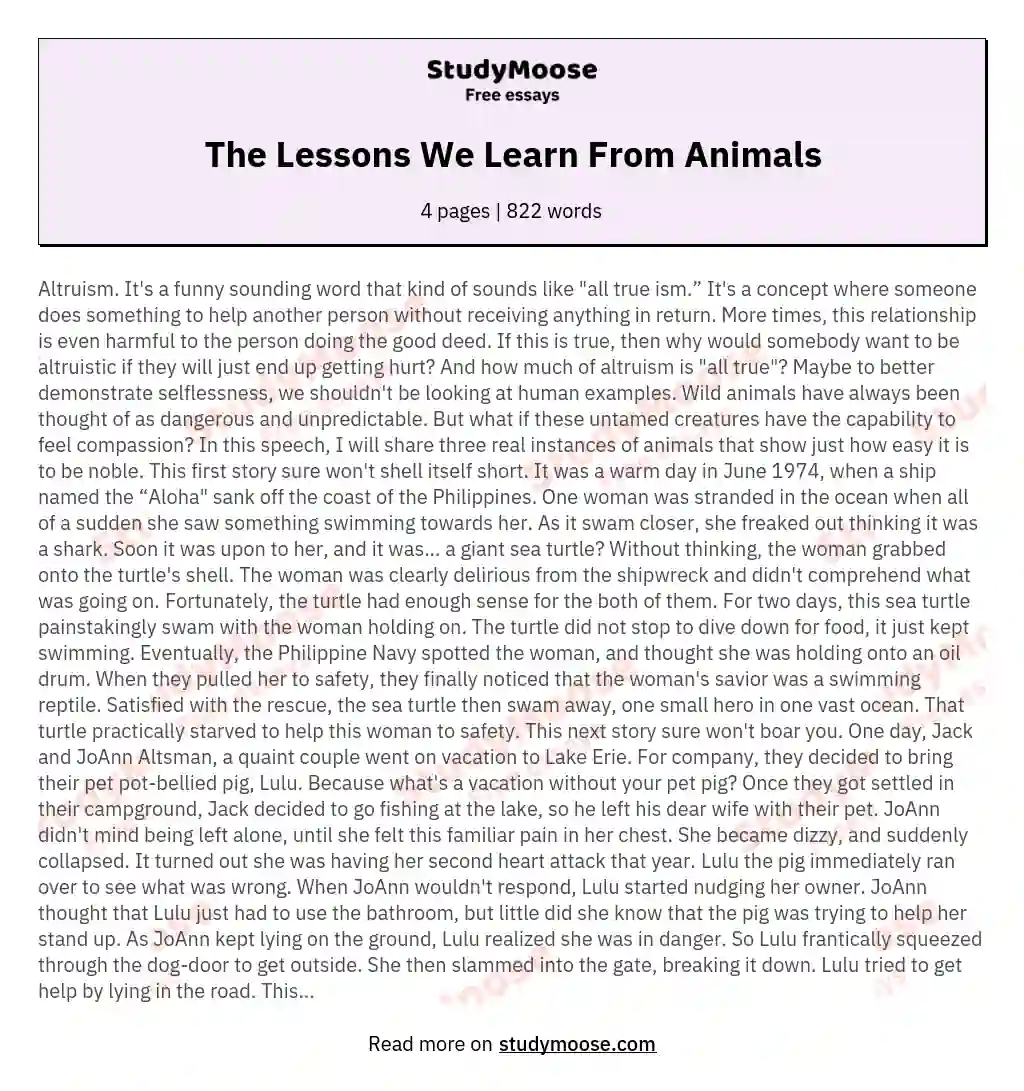 write an essay on lessons we learn from animals