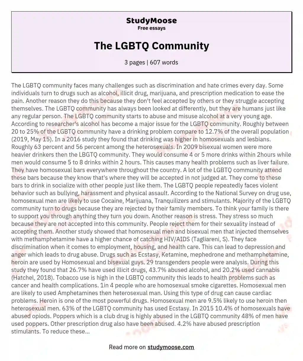 The LGBTQ Community essay