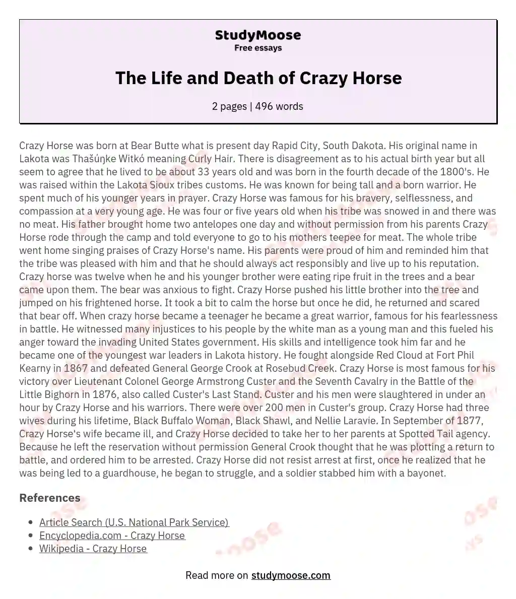 The Life and Death of Crazy Horse essay