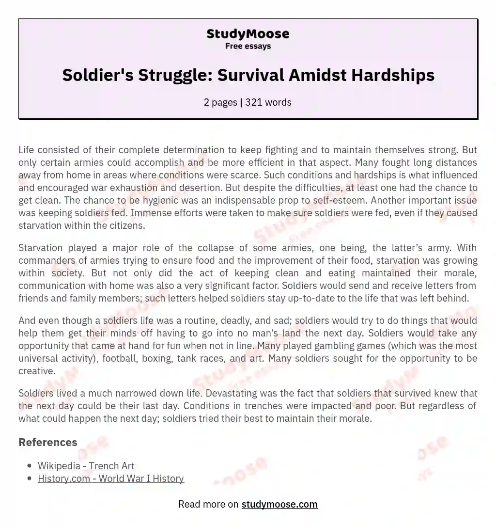 Soldier's Struggle: Survival Amidst Hardships essay