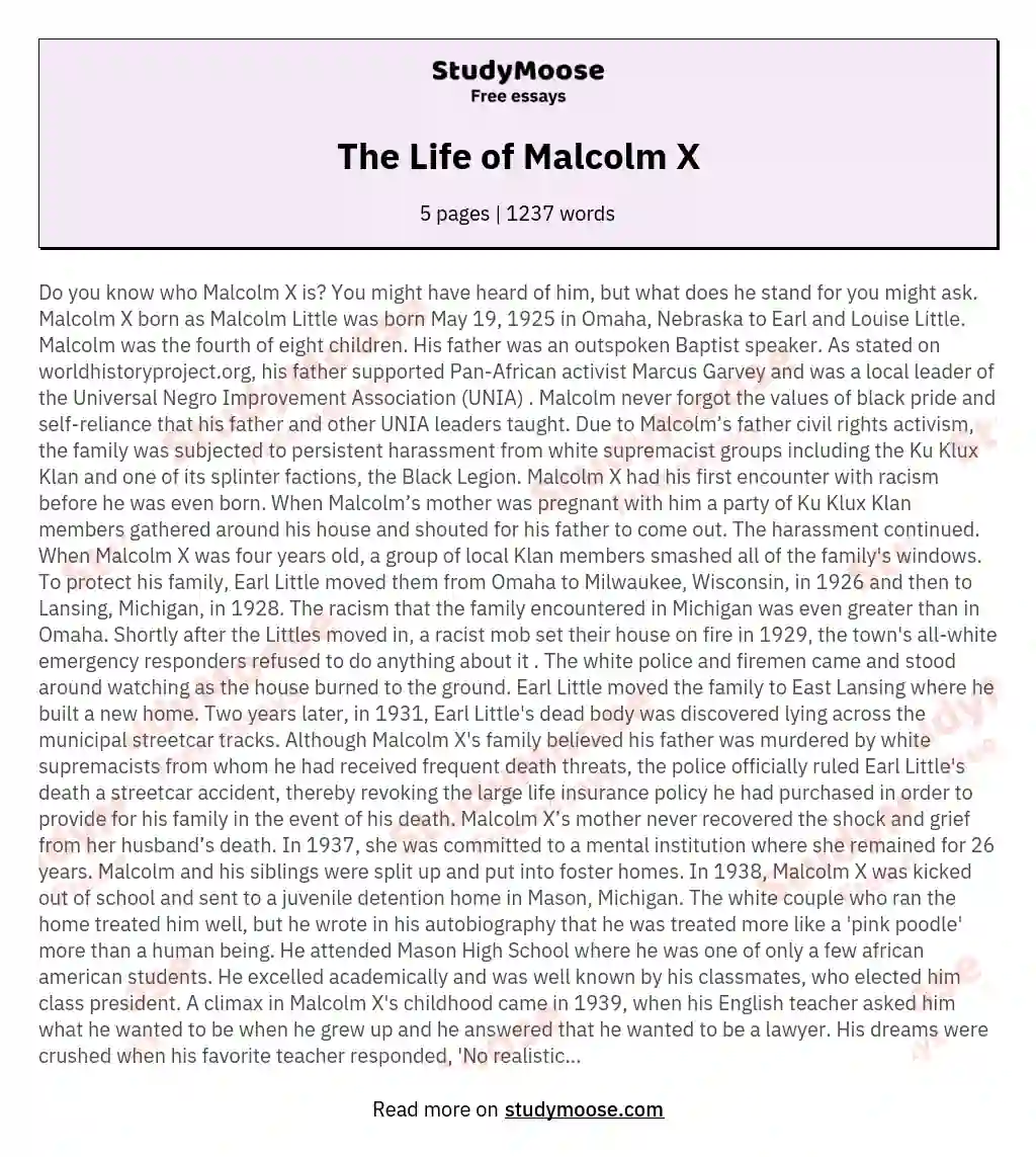 The Life of Malcolm X essay