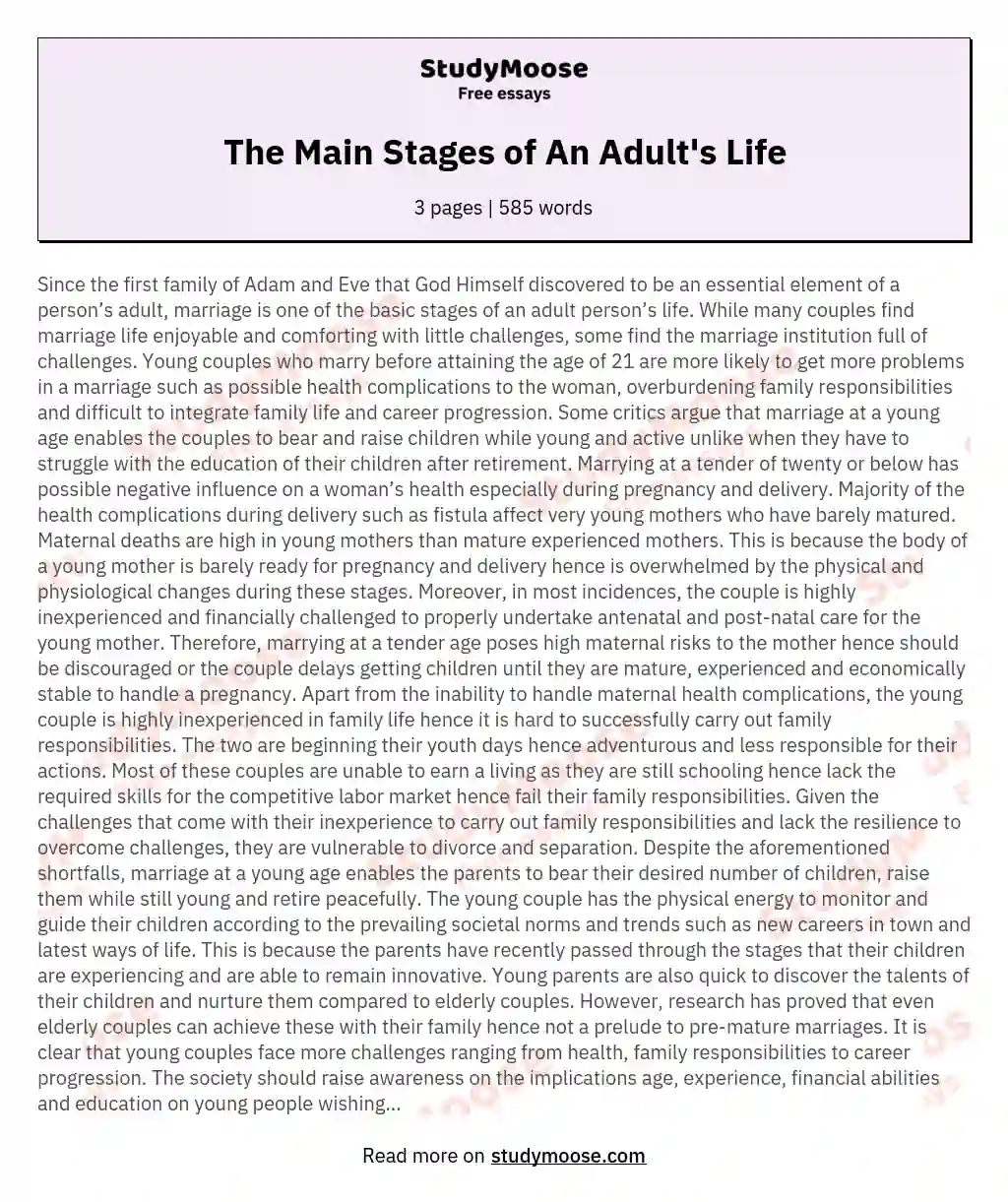 The Main Stages of An Adult's Life essay