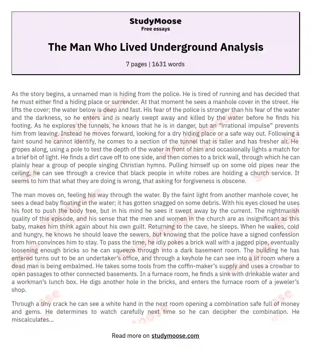 The Man Who Lived Underground Analysis essay