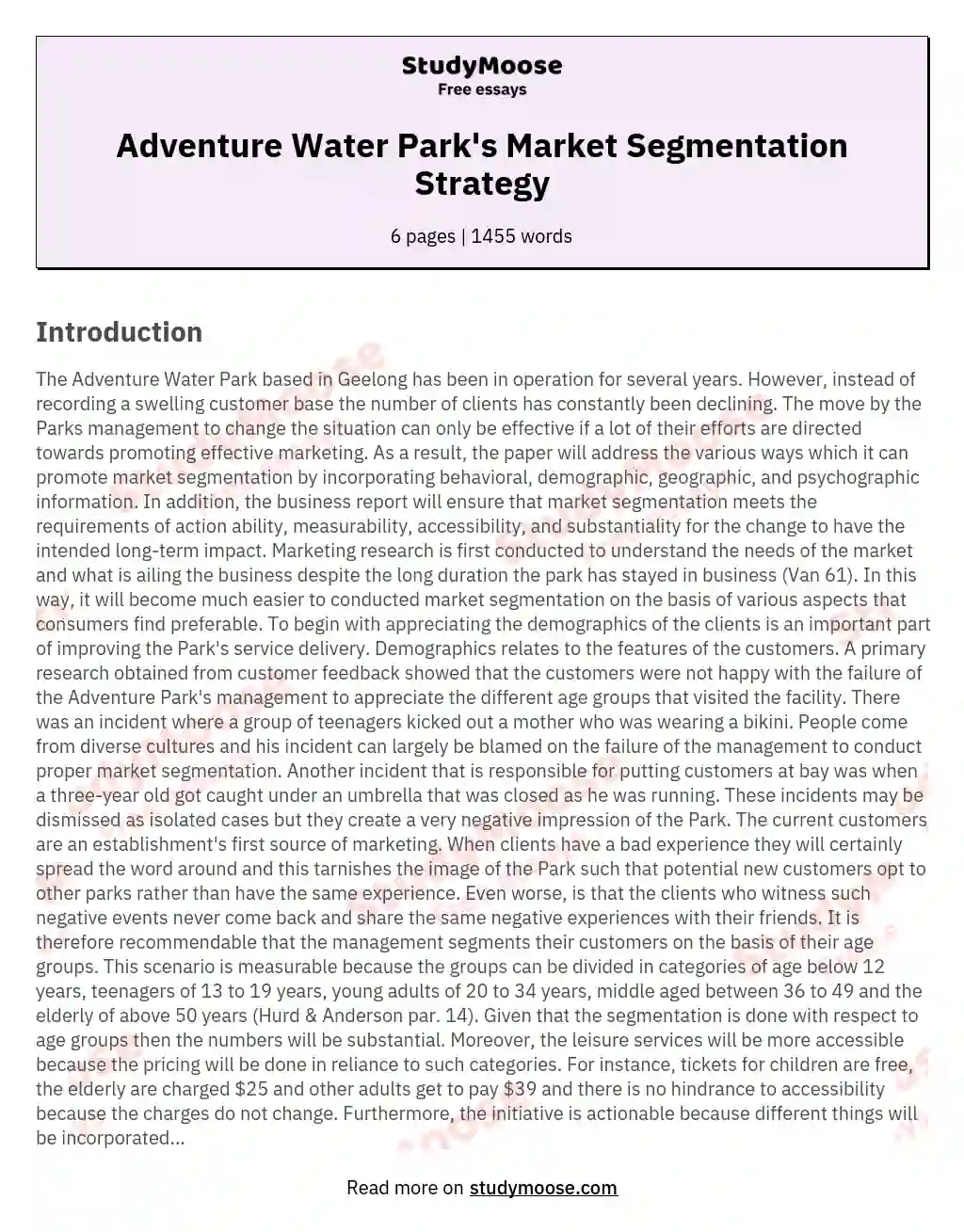 Adventure Water Park's Market Segmentation Strategy essay