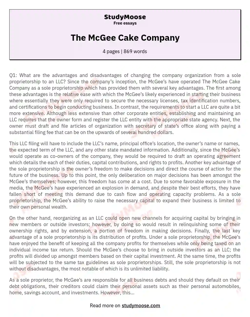 The McGee Cake Company essay