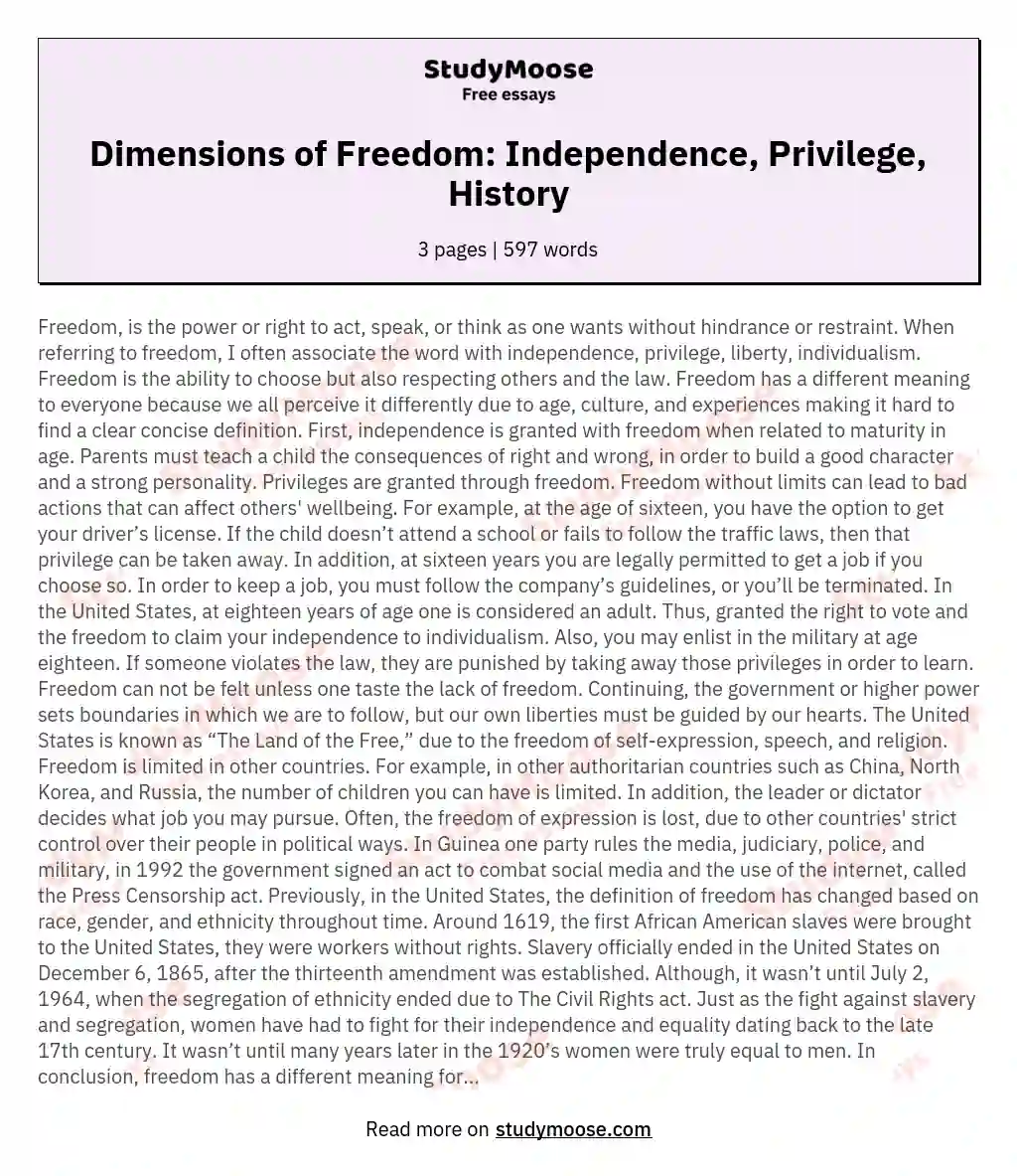 The Meaning Of Freedom Free Essay Example