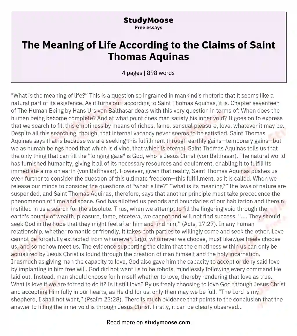 The Meaning of Life According to the Claims of Saint Thomas Aquinas essay