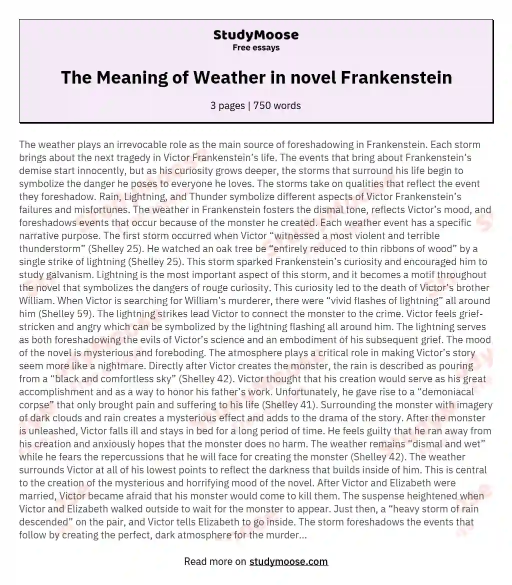 The Meaning of Weather in novel Frankenstein essay