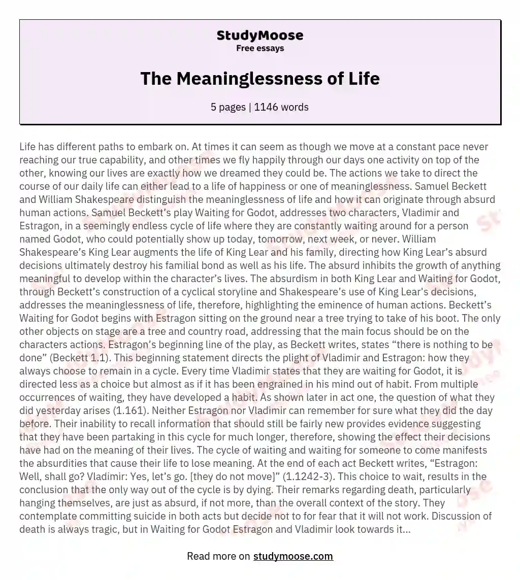The Meaninglessness of Life essay