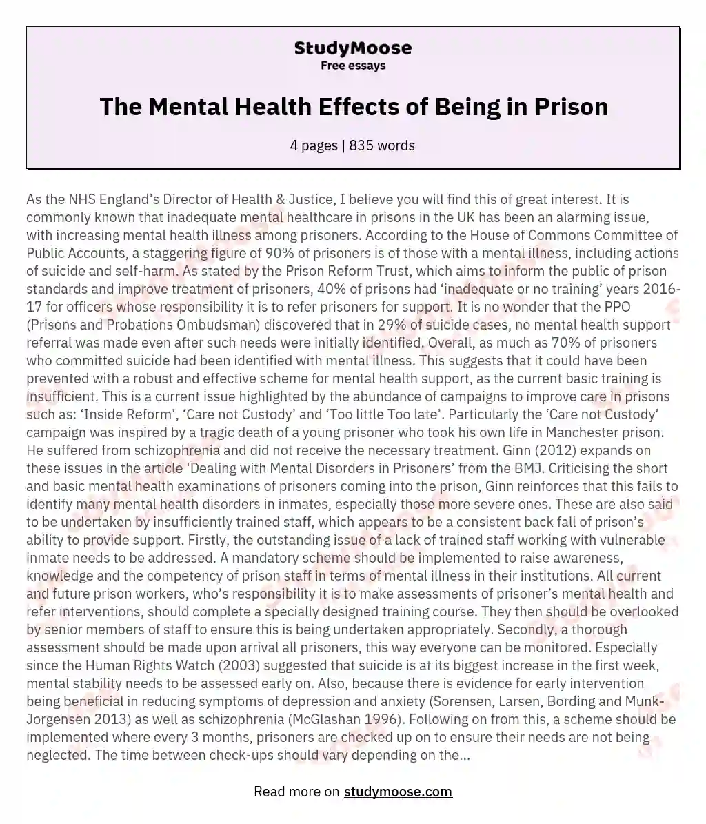 The Mental Health Effects of Being in Prison essay