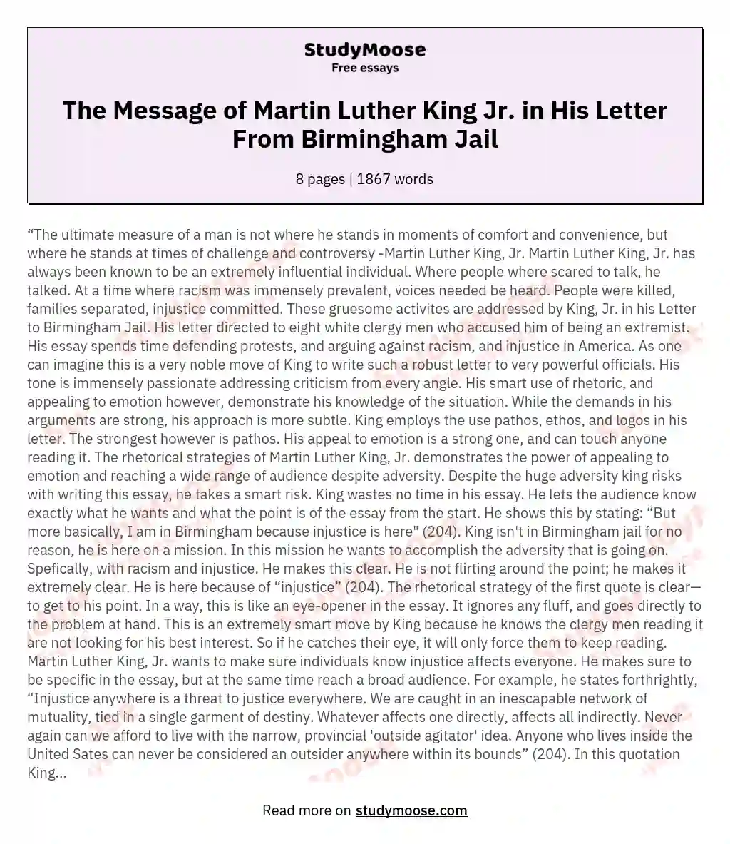 The Message of Martin Luther King Jr. in His Letter From Birmingham Jail essay