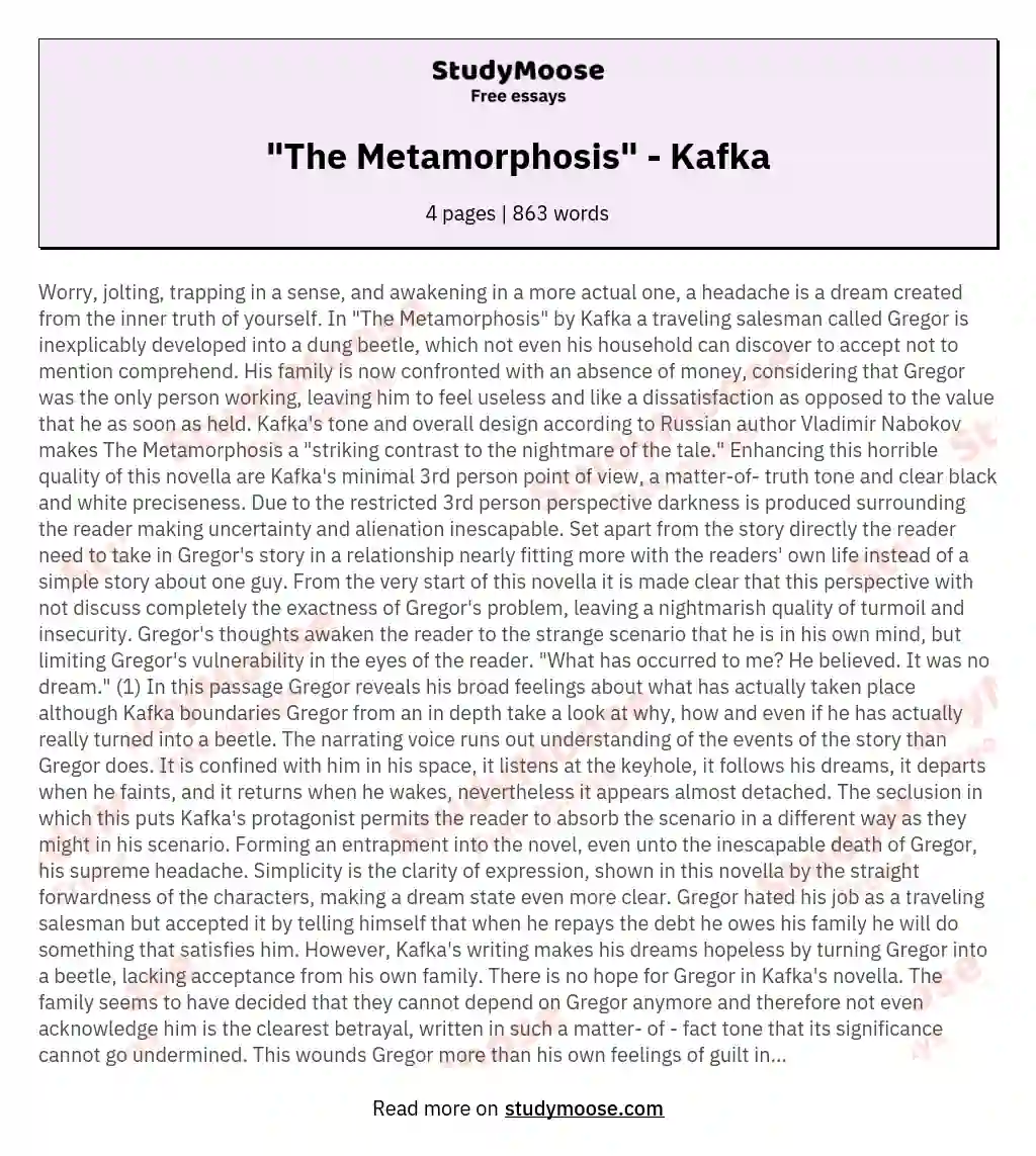 "The Metamorphosis" - Kafka essay