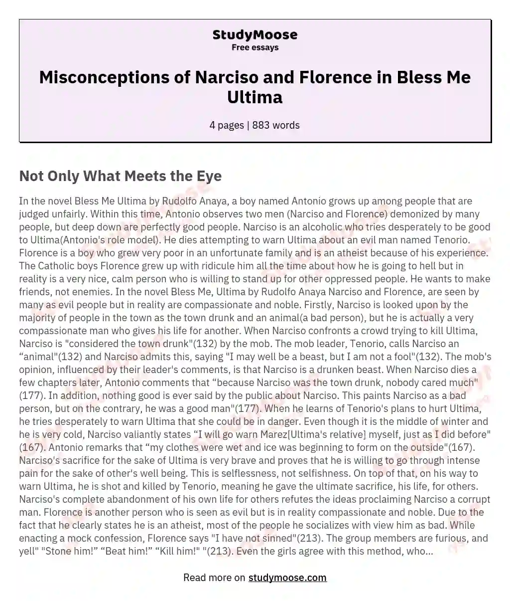 Misconceptions of Narciso and Florence in Bless Me Ultima essay