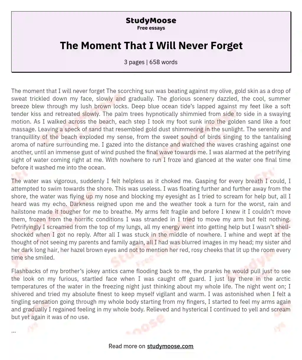 The Moment That I Will Never Forget essay